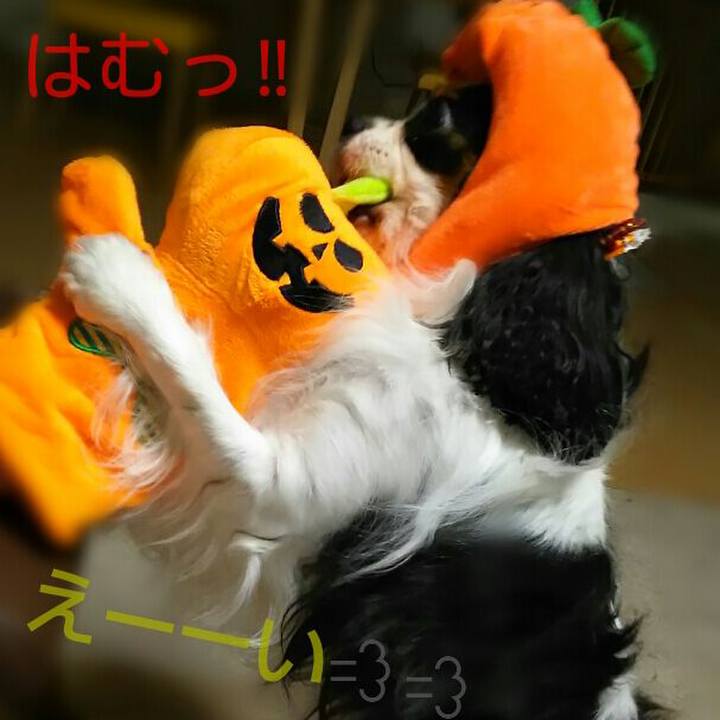 89e7b145 f066 4918 aa5f 1b6edeb55253