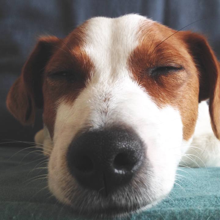 89e80f72 6abd 4840 8780 b8e7ba372aa5