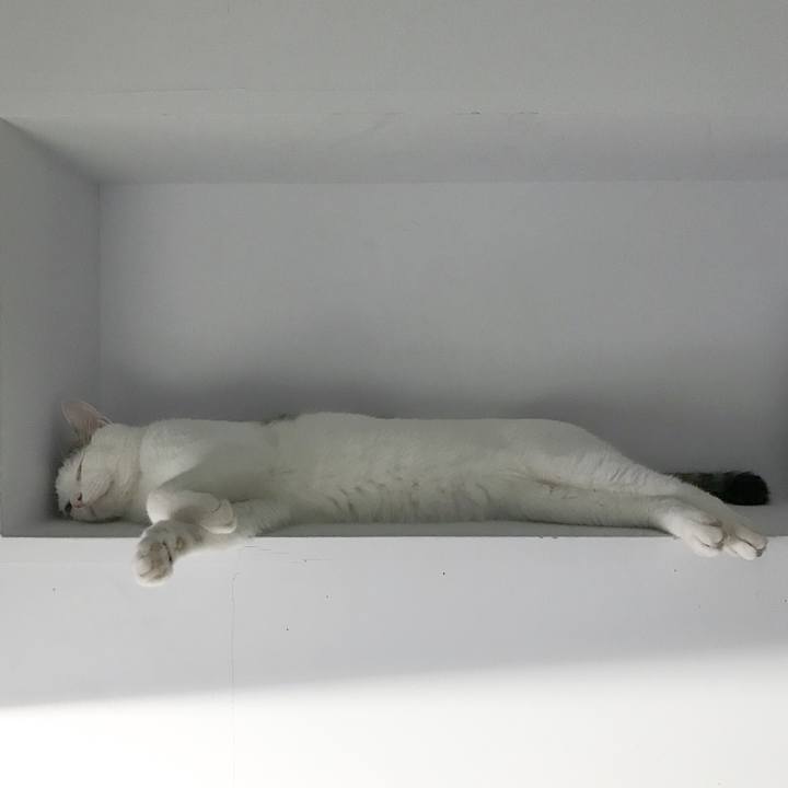 89e848b0 5fbe 4dbe 8b87 149178becd76