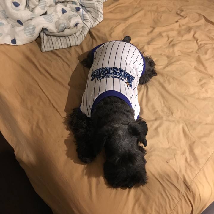 89e94c5f e793 444a 9190 4952f4703424