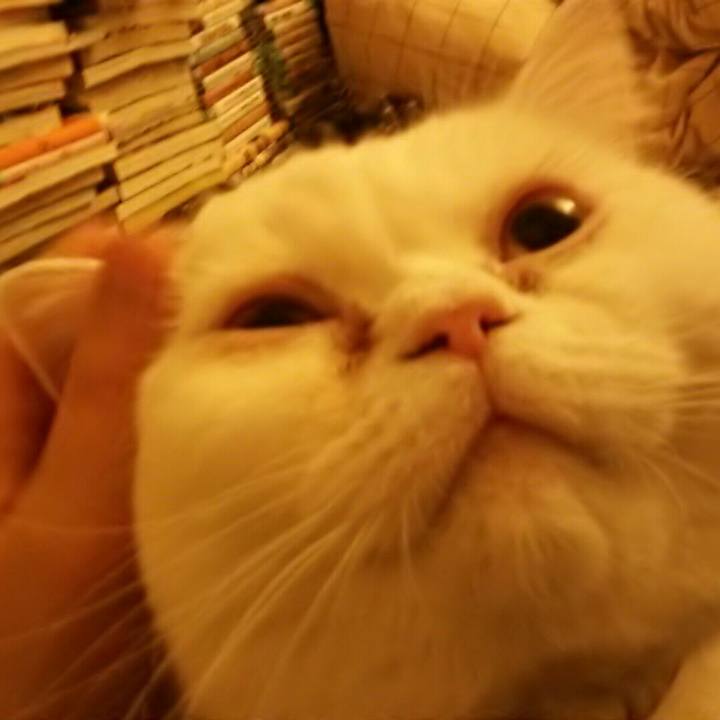 89e9c828 a2b7 40a1 9f4b 05f9718a162f