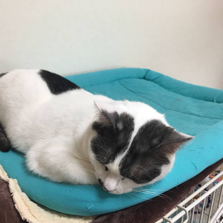 89e9de51 db7c 47a0 8e09 addff82b821f