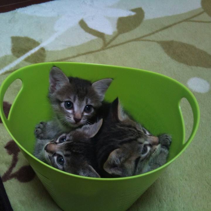 89e9f29a ca65 4876 9f8a c12db69dc039