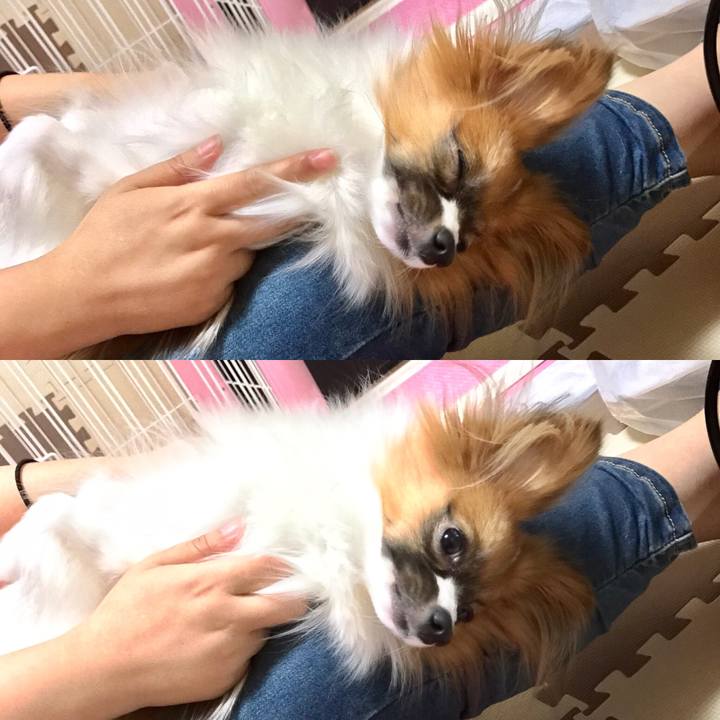 89ea02d0 aba5 4f51 8620 737bc077cabe