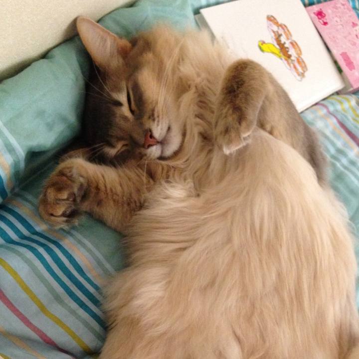 89eb90d1 d9d3 4fc1 8c3c 1d311edf6154