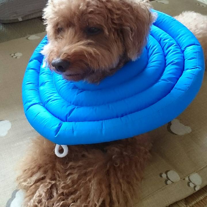 89ec3438 5429 4cfb ad63 7b33edd71b01