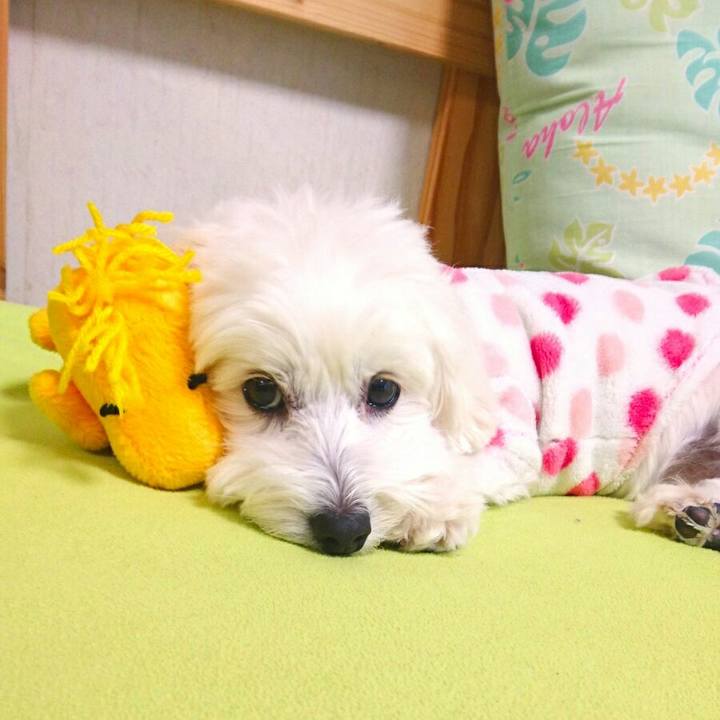 89ecefd6 e7fa 4057 9f12 390e5f03e380