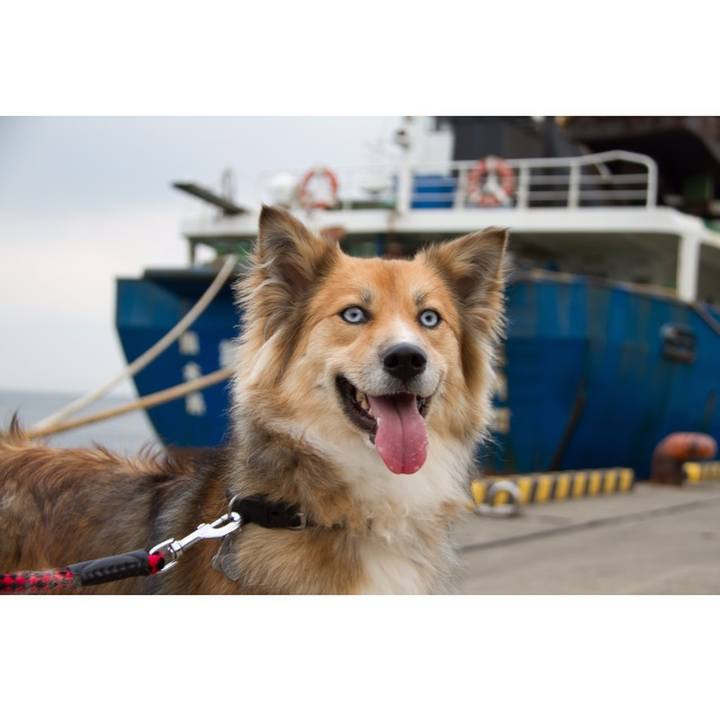 89ed2b76 7571 42ef 87a5 da995b165a44