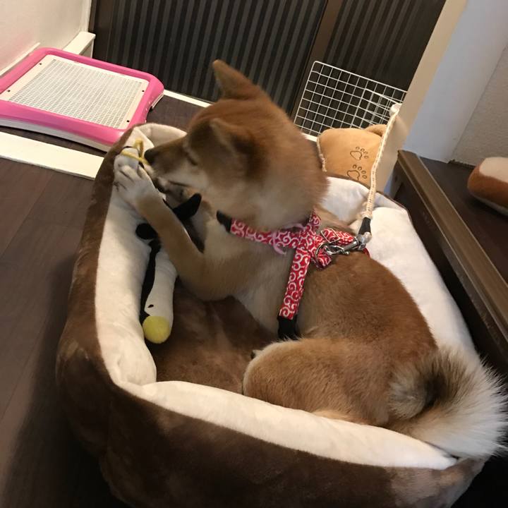 89ed50d8 58eb 47a2 954a 4d9e93bd0c9a