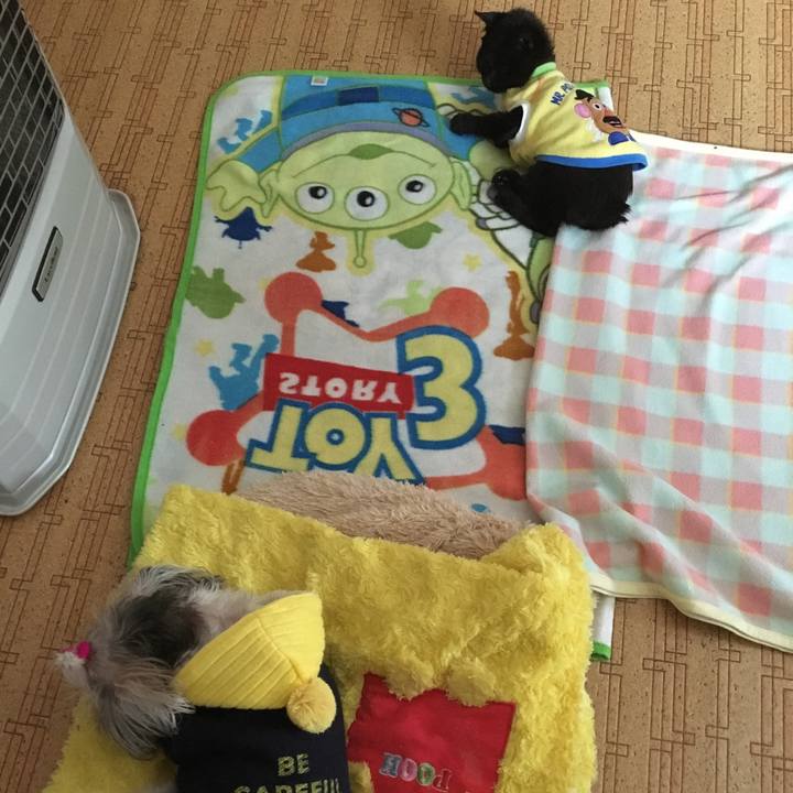 89edb13c 96a3 45d6 ab00 22d44c11f91a