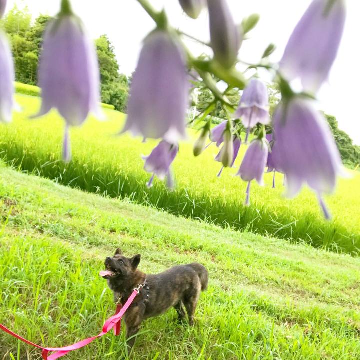 89edbdf0 5851 4d88 a96b fe864a234df0