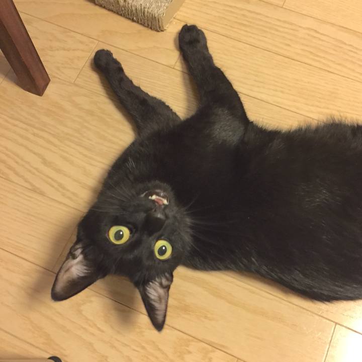 89ee0d31 fb9a 4320 8645 677c961352fc