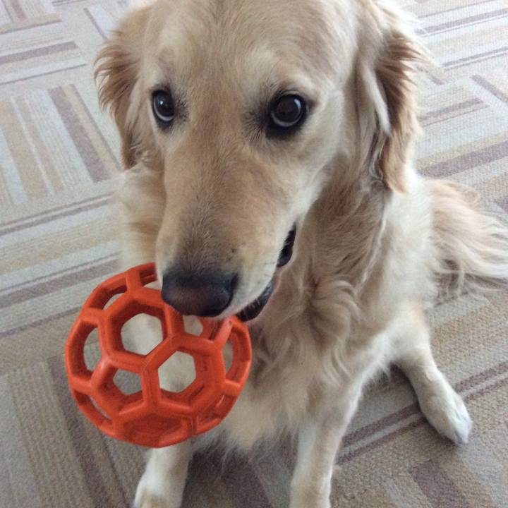 89ee6d03 0246 40d4 af7b 0dc395a8409b