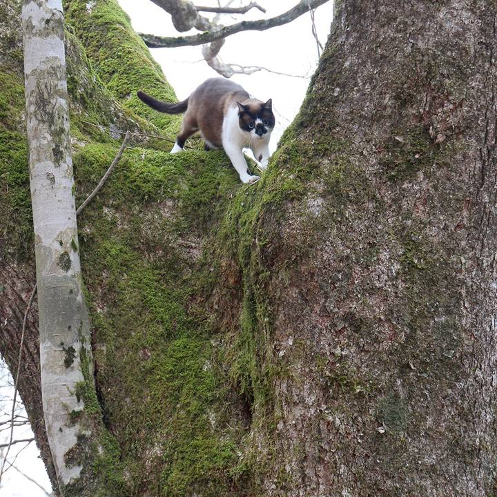 89eefc70 9e20 4939 b7cc 2c6904915556