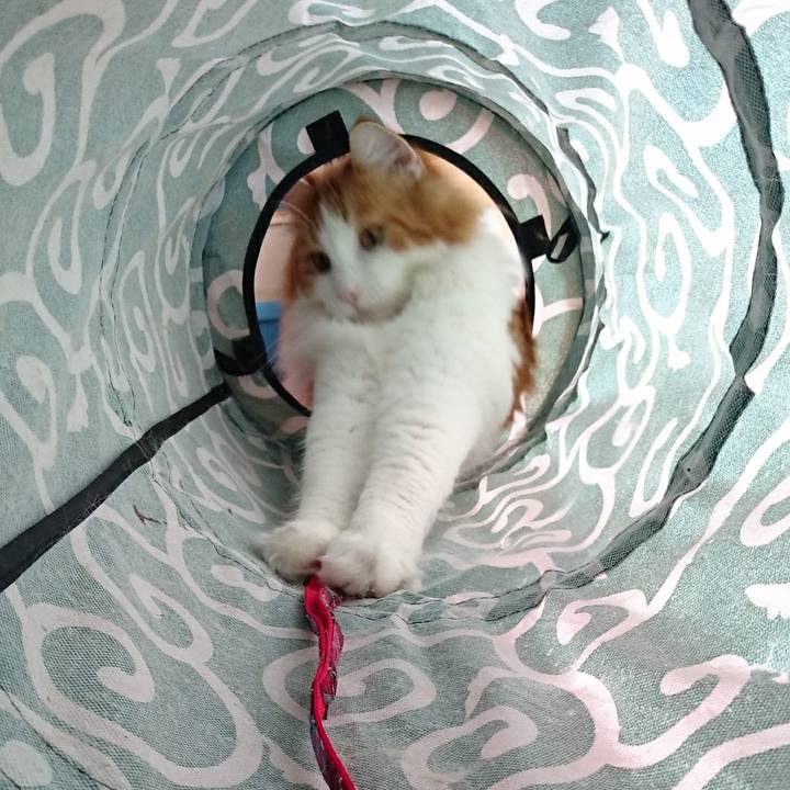 89f04df1 bb40 4a78 8f93 d4047a189f8b