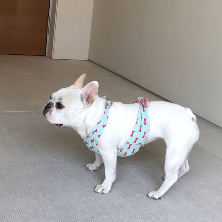 89f172ec 6063 4059 b5e2 74217da8a536