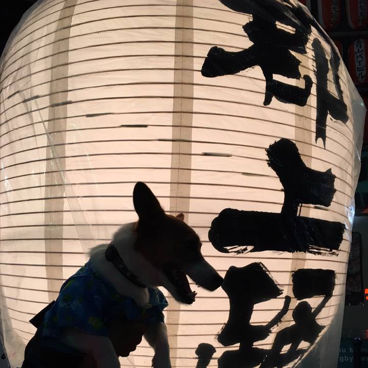 89f1a0c4 5c99 4425 aa10 9eeb5521c5dd