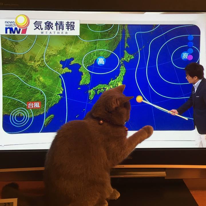 89f1b76b e3f1 4d3b 8431 c95668b3a489