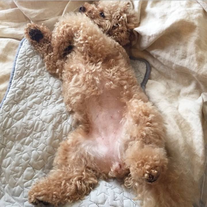 89f2d64d 32c9 4ec4 a982 1918e1ad29f5