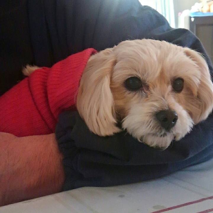 89f31607 86d0 4edc 9fd3 f6ca1a78ec4e