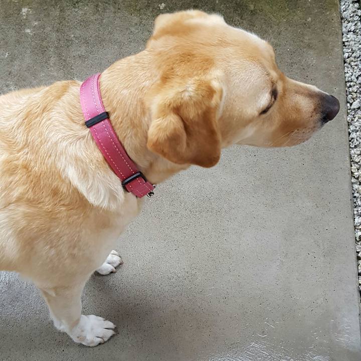 89f339f0 0d94 4d10 add2 4b64e3806647