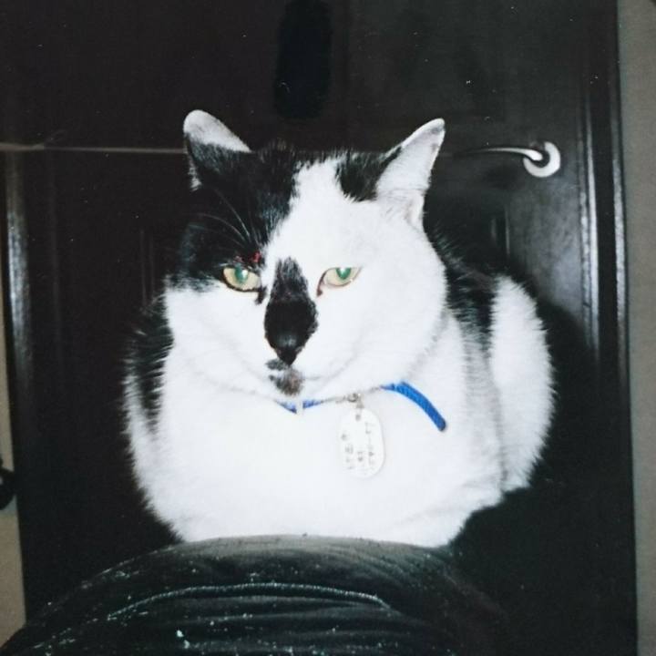 89f39270 9117 4029 9b59 3214b5f4d677