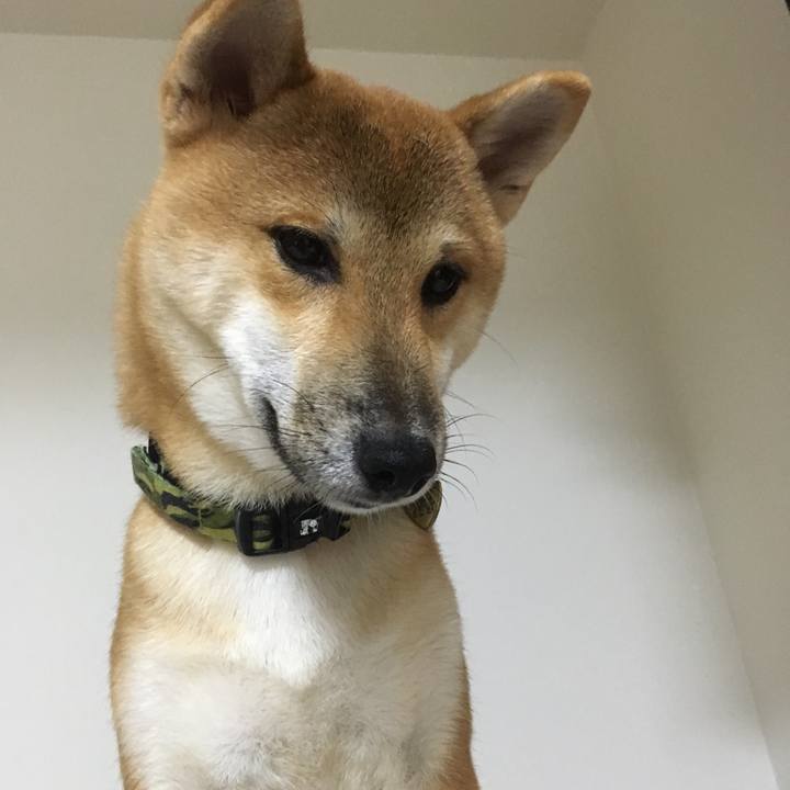 89f39dc9 f214 4dc4 a807 d22ce7cf7fdd