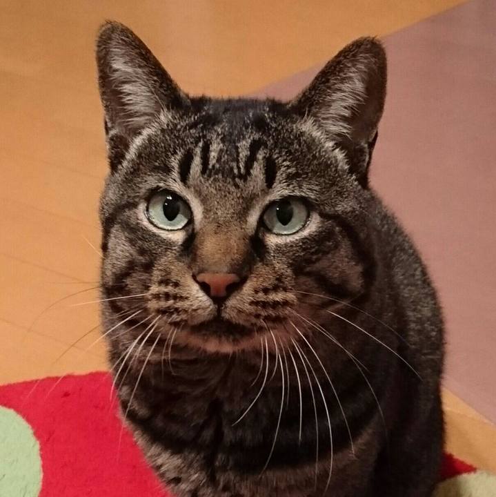 89f3ca88 d4e1 4891 a353 64df76f5dce6