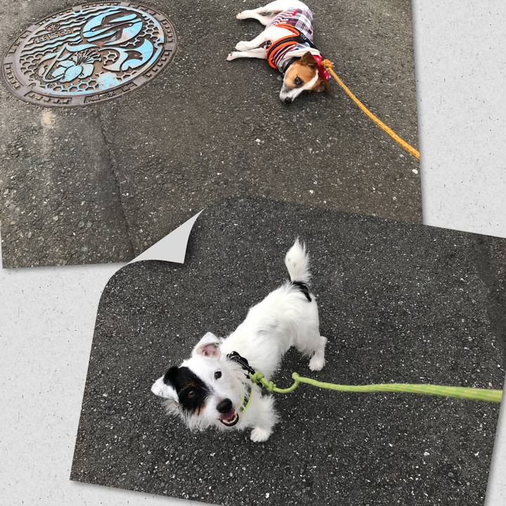 89f5332c 5aa3 4d3b 9f66 2d7cc7226219