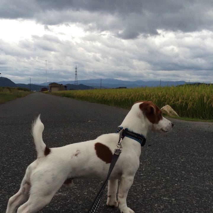 89f542b1 52c6 4198 94f9 9bad15575dc6