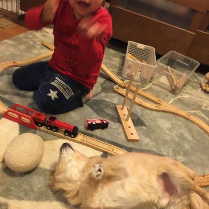 89f5867d 6c87 4e9b 93d3 374d1ff1959b