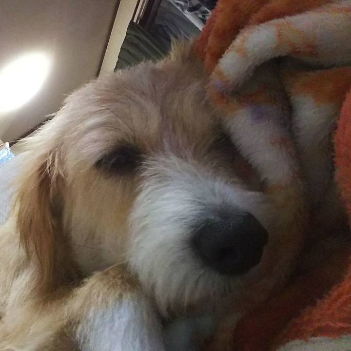 89f58bdb 598b 468e ab74 f39c0d0a3f36