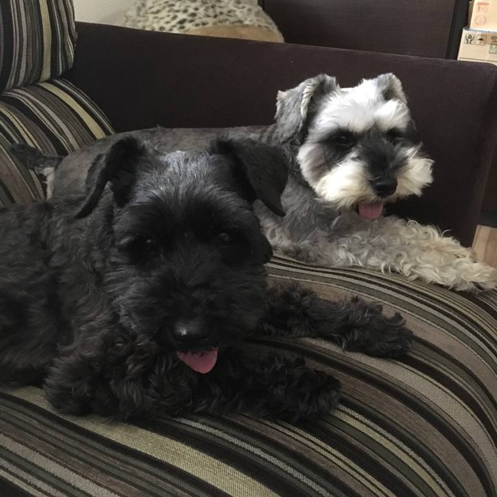 89f654c2 f669 4598 8950 deec357fcbf8