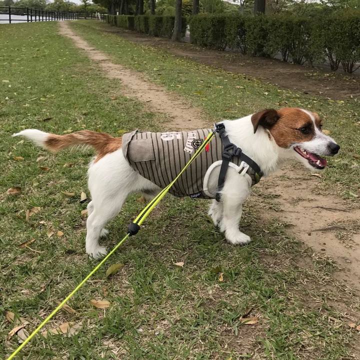 89f65d53 d90f 4c92 b8cb 63d670afaf9e