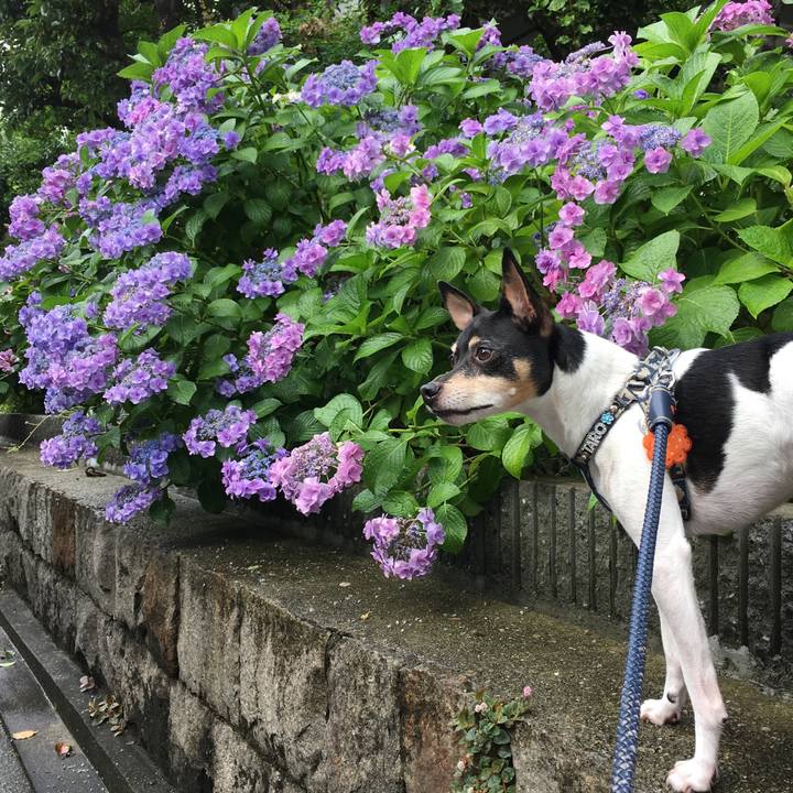 89f684a6 c80e 488e a9a6 d9ffd1acce18