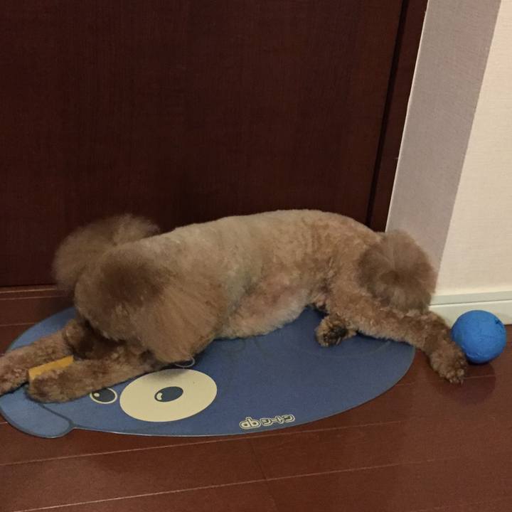 89f6c20c d060 4371 8e8b 9aea49247960