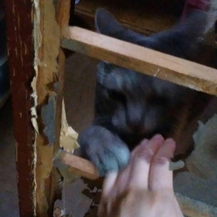 89f6fbaa 51dd 474c bceb 8507bc8ea030