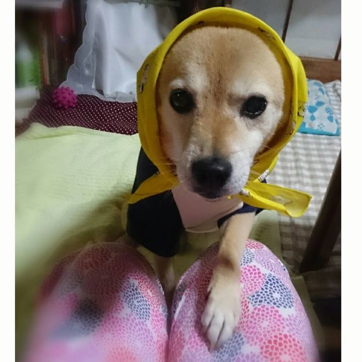 89f72078 5b63 4c6a 94d2 230afac6af4f