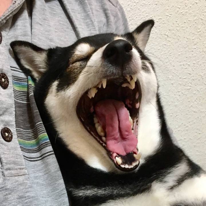 89f76404 997a 44f0 b0ef 6a46a55fc196