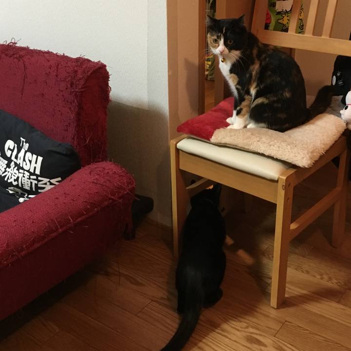 89f7eeb1 2899 448b b322 bd8f466aa905