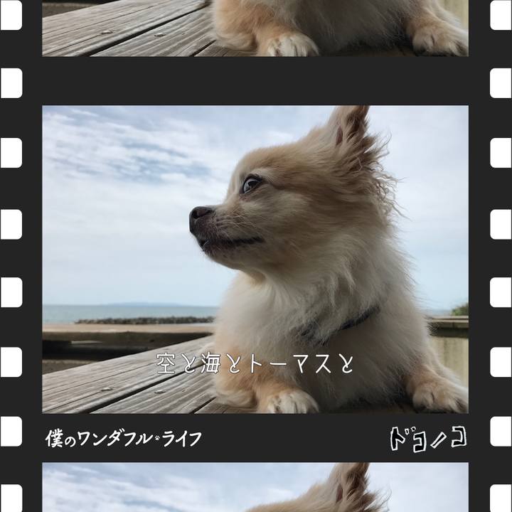 89f8407d c4c6 441a b20c d5d47c6e3891