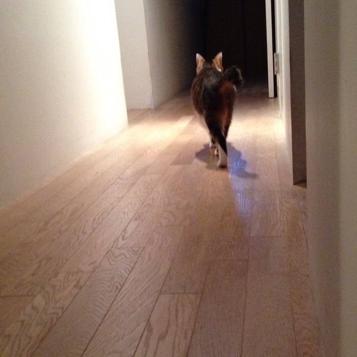 89f84e33 4415 4d54 b244 d1bc69467134