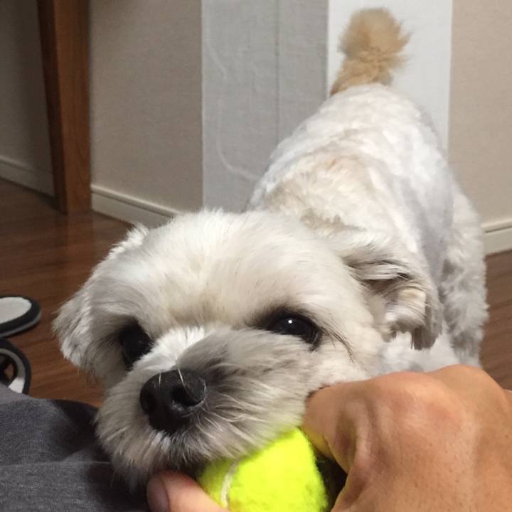 89f854c8 8a15 4ffd 8581 6255ba00e2d5