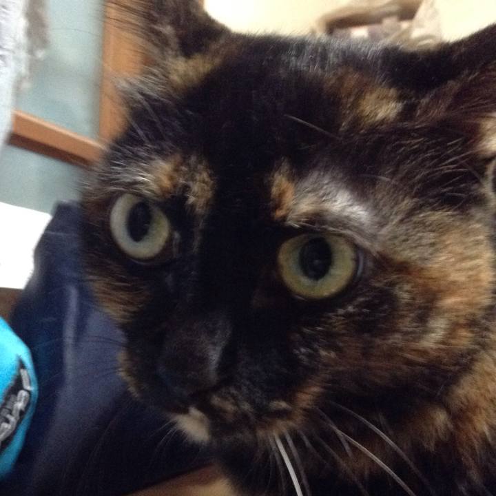 89f93629 0a24 4a30 a4a2 ba5192b94014