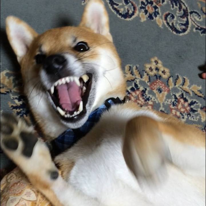 89f9ec1f f4cf 46ff adda 4f73f9dc8a00