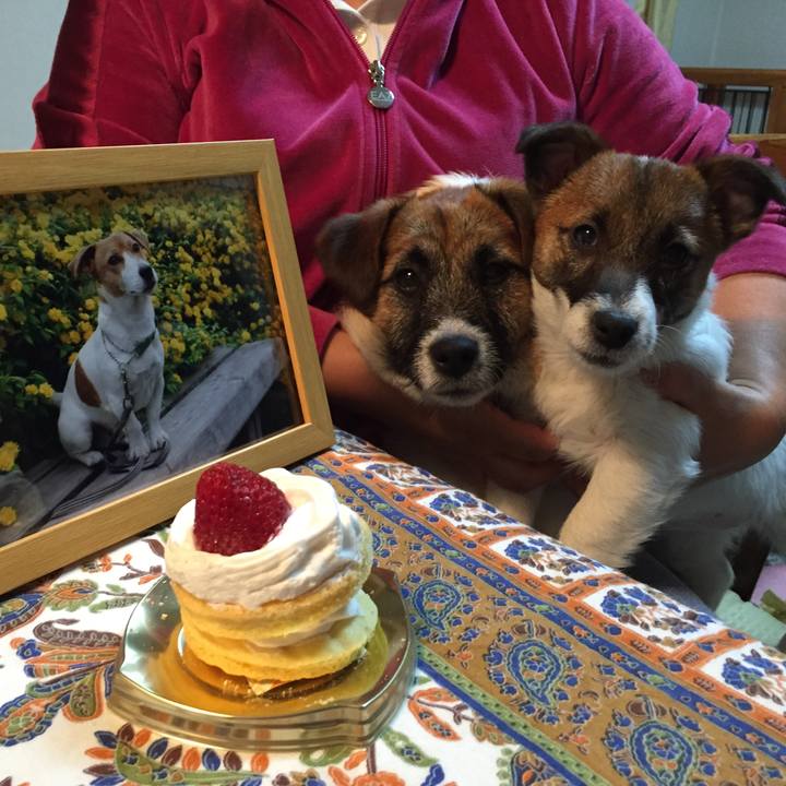 89fa09c3 560b 48cd a72a 9d1694d28ebf