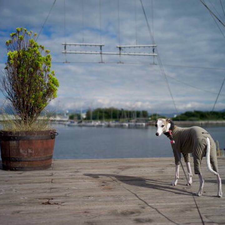 89fa0e82 7f53 4396 8b9f c4e3c632a4fa