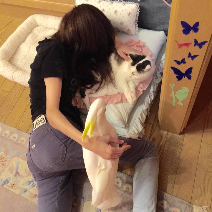 89fa2dc7 2cb9 4e54 bc81 2a874fa7751f