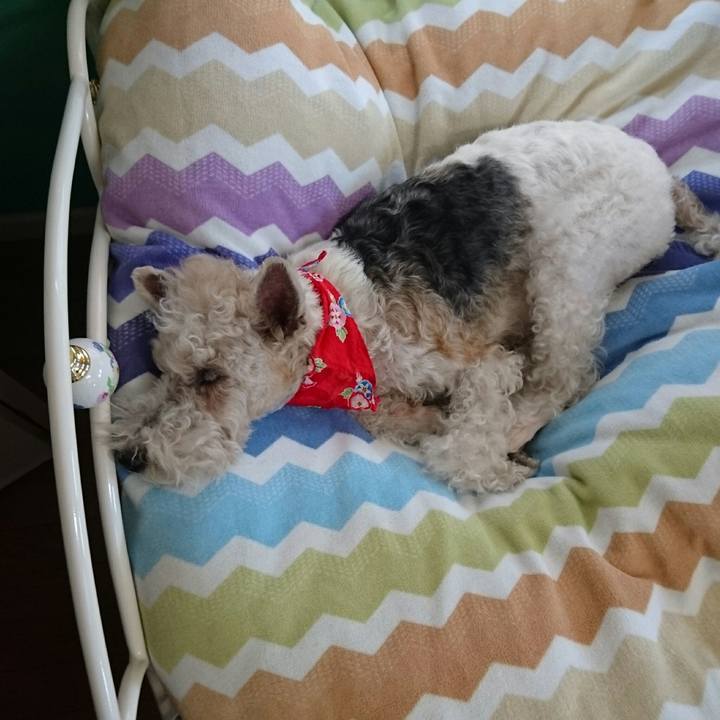 89fa5108 1b5e 4c1f b3e7 2d765211869e