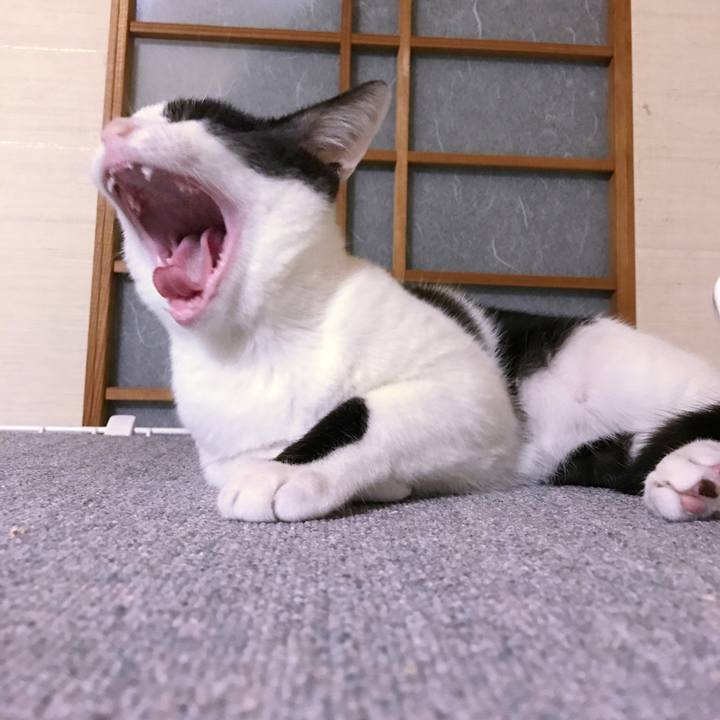 89fabbd4 b442 4b28 9066 e2c16ff14692